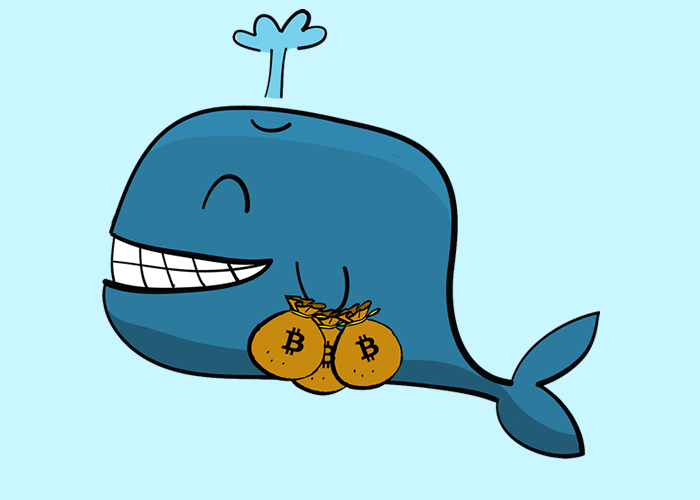 Bitcoin Whale