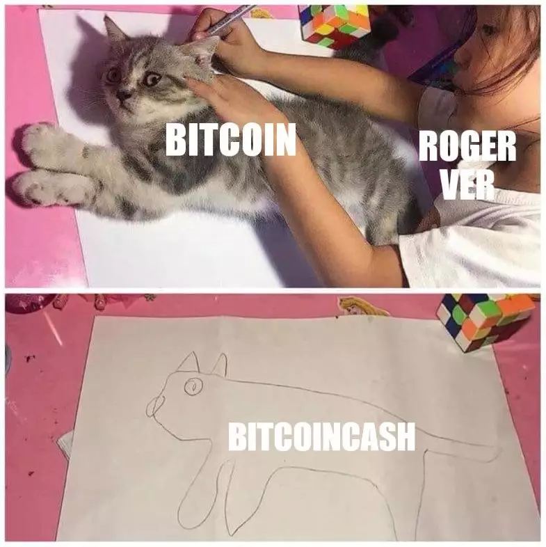 Bitcoin Cash Roger Ver Meme